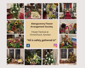 Picture: /imgresize/w288/files/clubs/abergavenny-district-flower-club/abergavennyff251.jpg