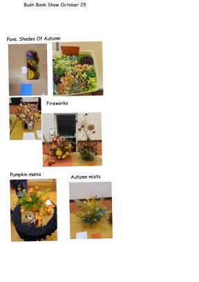Picture: /imgresize/w288/files/clubs/bushbank-flower-club/bushbank-show-oct25.jpg
