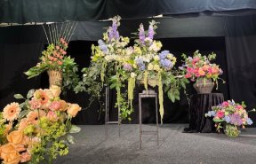 Picture: /imgresize/w288/files/clubs/cyncoed-floral-group/cceg1.jpeg