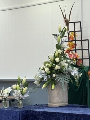 Picture: /imgresize/w288/files/clubs/cyncoed-floral-group/cyncoed-al4.jpg
