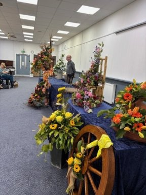 Picture: /imgresize/w288/files/clubs/cyncoed-floral-group/cyncoedal1.jpg