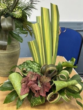 Picture: /imgresize/w288/files/clubs/cyncoed-floral-group/cyncoedgl2.jpg