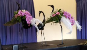 Picture: /imgresize/w288/files/clubs/herefordshire-flower-guild/andrew-lloyd-4a.jpg