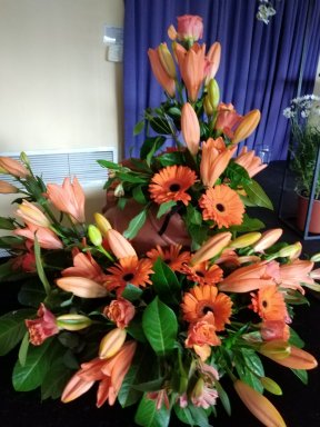 Picture: /imgresize/w288/files/clubs/herefordshire-flower-guild/andrew-lloyd-5.jpg