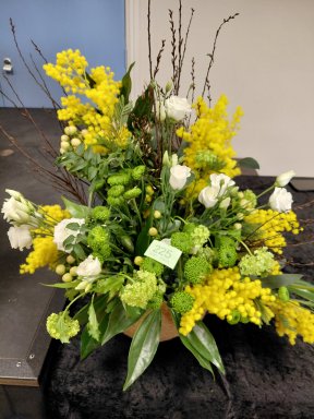 Picture: /imgresize/w288/files/clubs/herefordshire-flower-guild/herefordmarch261.jpg