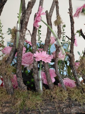 Picture: /imgresize/w288/files/clubs/herefordshire-flower-guild/hfgdd1.jpg