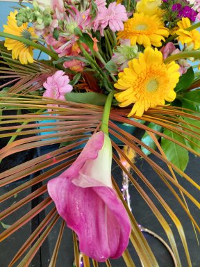 Picture: /imgresize/w288/files/clubs/herefordshire-flower-guild/hfgdd2.jpg