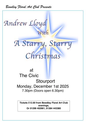 Picture: /imgresize/w288/images/bewdley-xmas25.jpg
