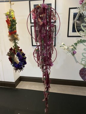 Emily Broomhead BEST IN SHOW