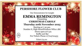 Picture: /imgresize/w288/images/pershore-xmas25.jpg